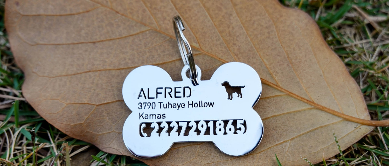 dog-id-tag-on-the-leaf-banner-taglecshop