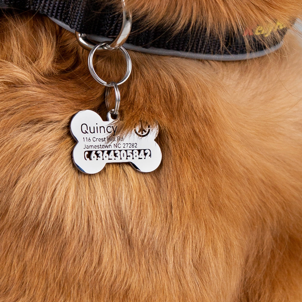 golden-retriever-with-hollow-tag